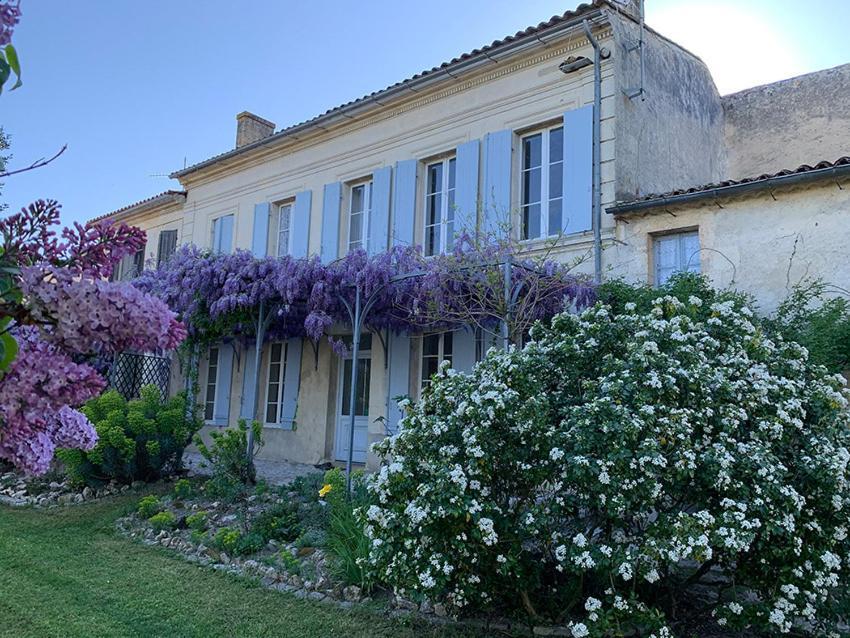 Maison Jeroboam Saint-Estèphe Pokój zdjęcie